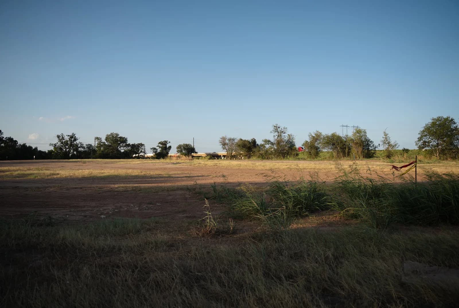 The cleared Occam Foundry site at golden hour, native grasses in the foreground and a treeline beyond